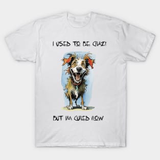 Cracy Dog Cured T-Shirt